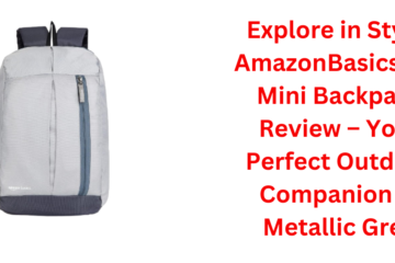 AmazonBasics - Mini Backpack for Outdoor Use (12 l) (Metallic Grey)